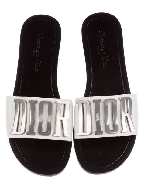 christian dior evolution slides.